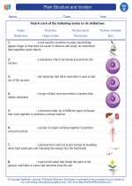 Science - Fourth Grade - Vocabulary: Plant Structure and function