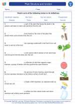 plant structure and function 4th grade science worksheets and answer