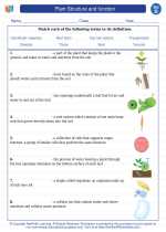 Science - Fourth Grade - Vocabulary: Plant Structure and function
