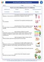Science - Fourth Grade - Vocabulary: Animal Growth and Reproduction