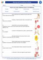 Science - Sixth Grade - Vocabulary: Moving and Controlling the Body