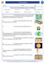 Science - Eighth Grade - Vocabulary: Plate tectonics