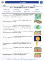 Science - Seventh Grade - Vocabulary: Earthquakes