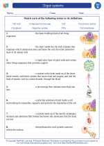 Science - Fourth Grade - Vocabulary: Organ systems