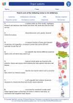 organ systems 4th grade science worksheets and answer keys study guides and vocabulary sets