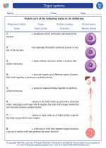 Science - Fourth Grade - Vocabulary: Organ systems