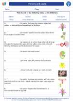 flowers and seeds 5th grade science worksheets and answer keys study guides and vocabulary sets