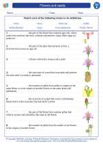 Science - Fifth Grade - Vocabulary: Flowers and seeds