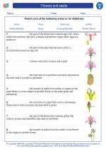 flowers and seeds 5th grade science worksheets and answer keys study guides and vocabulary sets