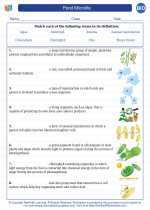 Biology - High School - Vocabulary: Pond Microlife