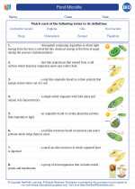 Biology - High School - Vocabulary: Pond Microlife