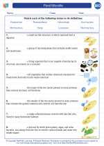 Biology - High School - Vocabulary: Pond Microlife