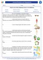 Animal Diversity and Adaptations. 5th Grade Science Worksheets and