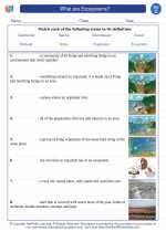 Science - Third Grade - Vocabulary: What are Ecosystems?