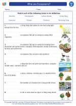 what are ecosystems science worksheets and study guides fifth grade