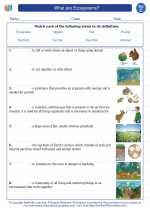 Science - Third Grade - Vocabulary: What are Ecosystems?