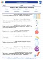 Biology - High School - Vocabulary: Introduction to cells