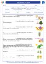 Science - Seventh Grade - Vocabulary: Introduction to Plants