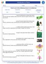 Introduction to plants. High School Biology Worksheets and Answer Keys.