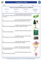 Biology - High School - Vocabulary: Introduction to Plants