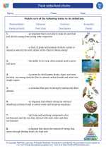 Science - Fourth Grade - Vocabulary: Food webs/food chains