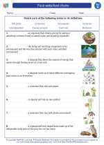 Science - Fourth Grade - Vocabulary: Food webs/food chains