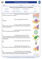 cell structure and function high school biology worksheets and answer keys vocabulary sets