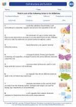 Biology - High School - Vocabulary: Cell structure and function