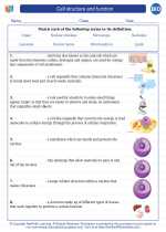 Cell Structure And Function High School Biology Worksheets And Answer Keys Vocabulary Sets