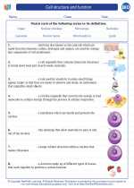 Biology - High School - Vocabulary: Cell structure and function