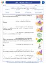 Science - Sixth Grade - Vocabulary: Cells: The Basic Units of Life