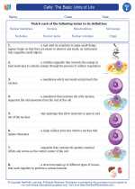 Science - Sixth Grade - Vocabulary: Cells: The Basic Units of Life