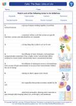 Science - Sixth Grade - Vocabulary: Cells: The Basic Units of Life