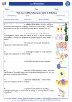 Science - Seventh Grade - Vocabulary: Cell Processes