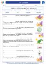 Science - Seventh Grade - Vocabulary: Cell Processes