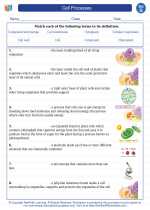 Science - Seventh Grade - Vocabulary: Cell Processes