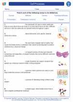 Cell Processes High School Biology Worksheets Vocabulary Sets And Answer Key Indiana Academic Standards