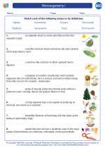 Biology - High School - Vocabulary: Microorganisms I