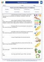 Biology - High School - Vocabulary: Microorganisms I