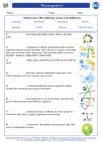 Biology - High School - Vocabulary: Microorganisms I