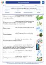 Biology - High School - Vocabulary: Microorganisms II