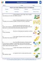 Biology - High School - Vocabulary: Microorganisms II