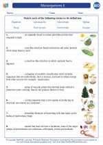 Biology - High School - Vocabulary: Microorganisms II