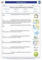 Biology - High School - Vocabulary: Microorganisms II