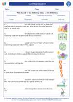 Science - Seventh Grade - Vocabulary: Cell Reproduction