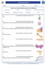 Science - Seventh Grade - Vocabulary: Cell Reproduction