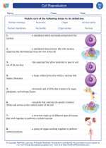 cell reproduction 7th grade science worksheets and answer key study