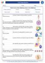 Science - Seventh Grade - Vocabulary: Cell Reproduction