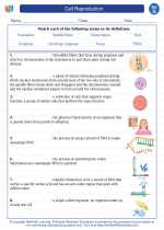 Cell Reproduction. 7th Grade Science Worksheets and Answer key, Study