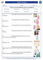 Science - Eighth Grade - Vocabulary: Modern Genetics